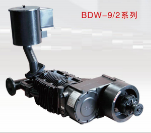 Compresor de aire para columpios no lubricados CAMC 'BDW 9/2'