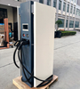 Cargador de vehículo eléctrico con conector de carga dual CCS2